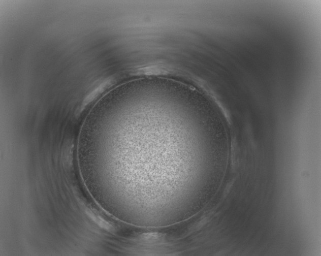 X0000077350153200610271837