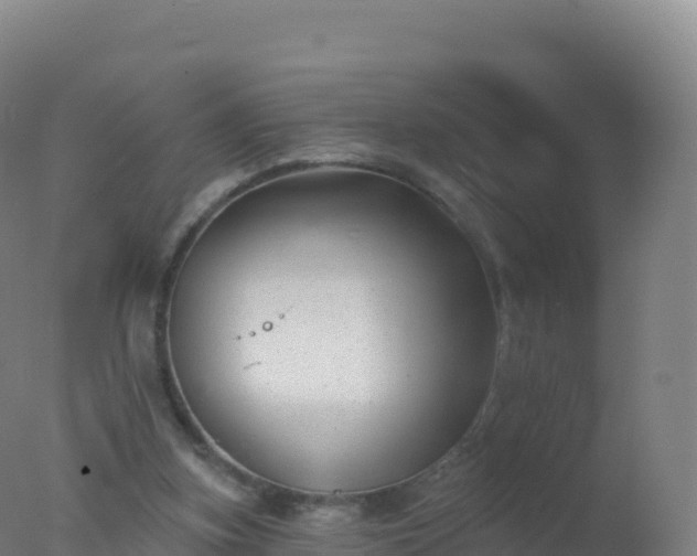 X0000077350155200610271837