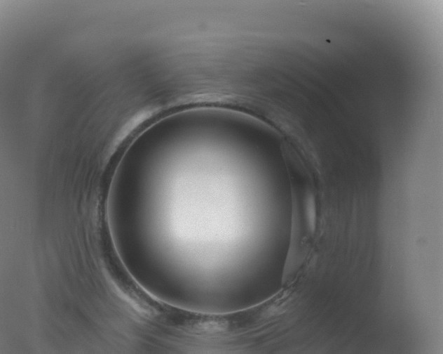 X0000077350156200610271837