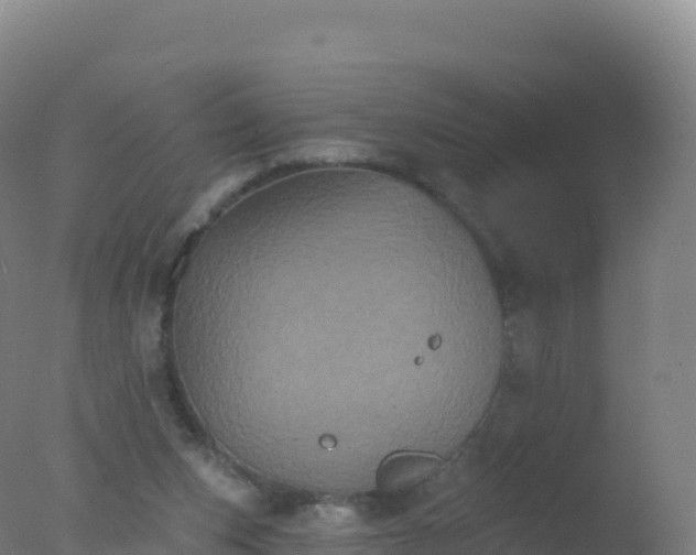 X0000077350159200610271837