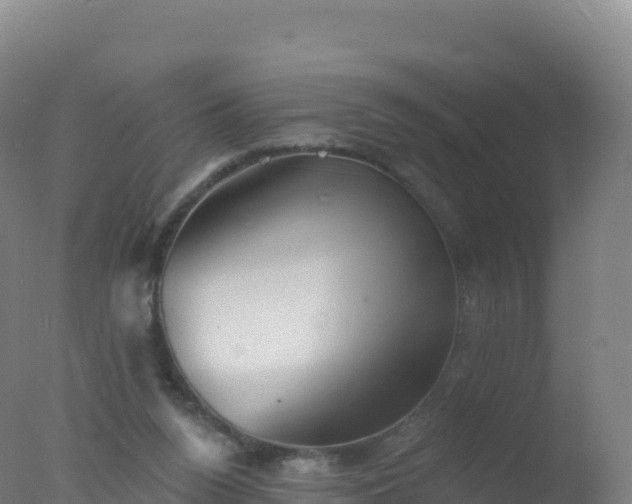 X0000077350160200610271837