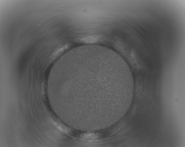 X0000077350161200610271837