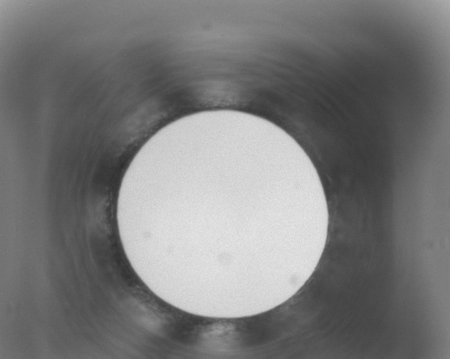 X0000077350162200610271837