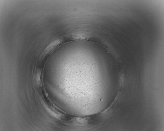 X0000077350166200610271837