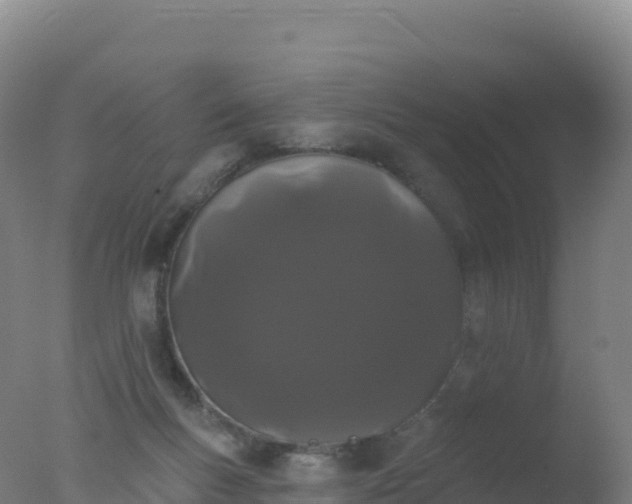 X0000077350167200610271837