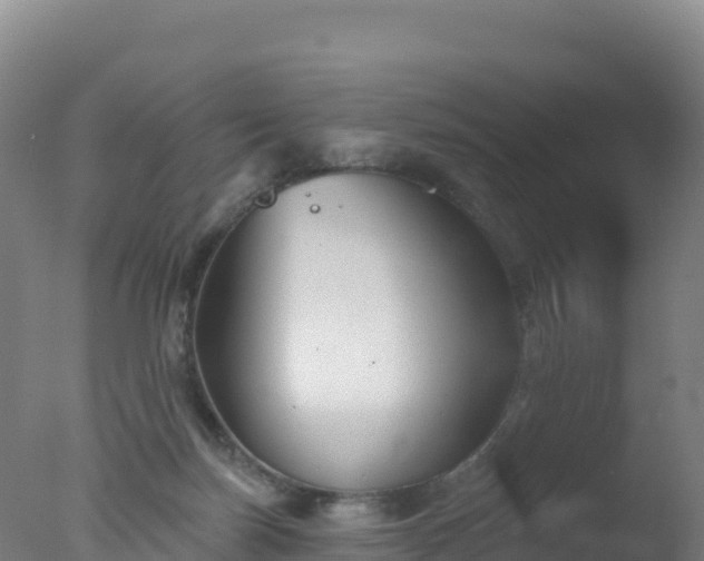 X0000077350171200610271837