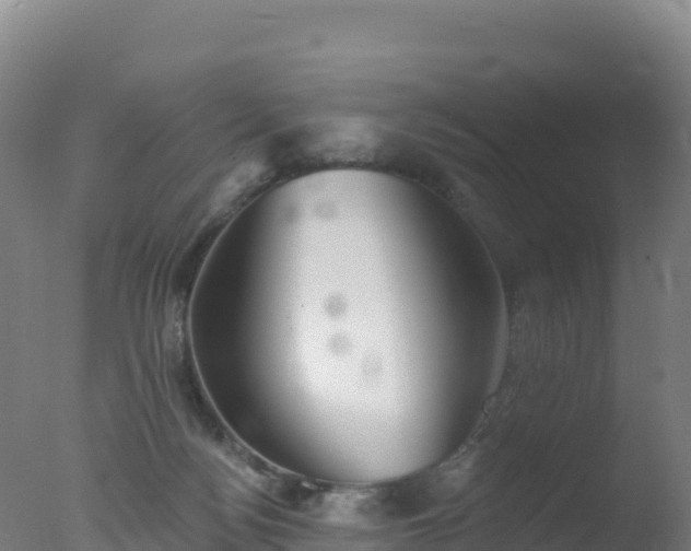 X0000077350172200610271837