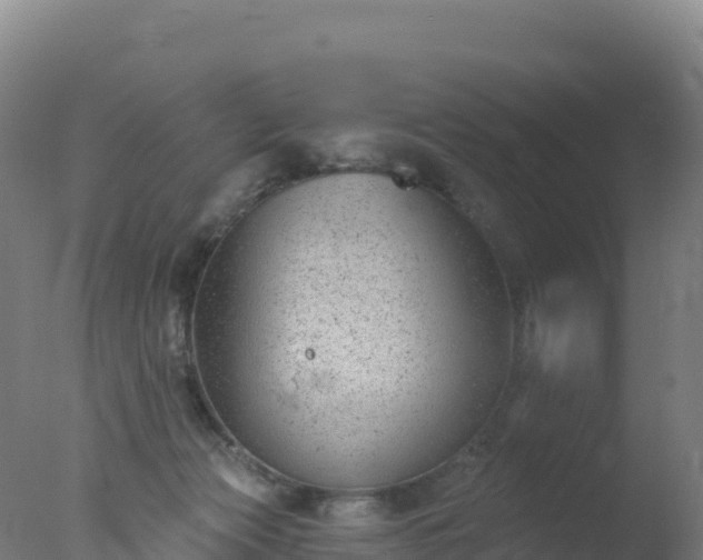 X0000077350173200610271837