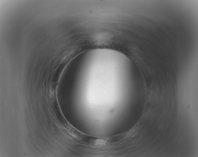 X0000077350176200610271837