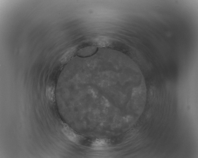 X0000077350177200610271838