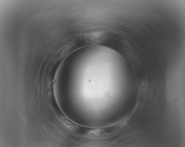 X0000077350178200610271838