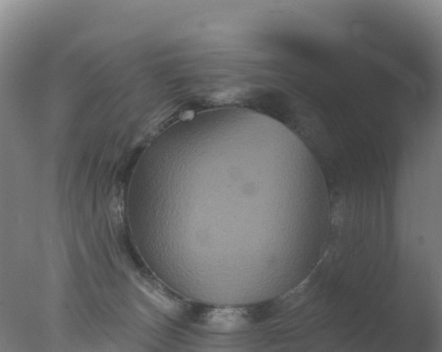 X0000077350179200610271838