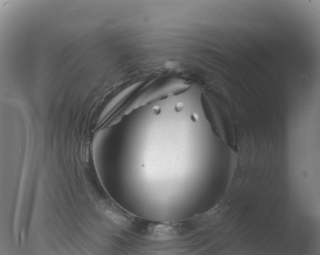 X0000077350180200610271838