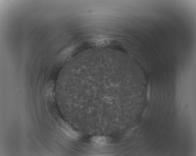 X0000077350181200610271838