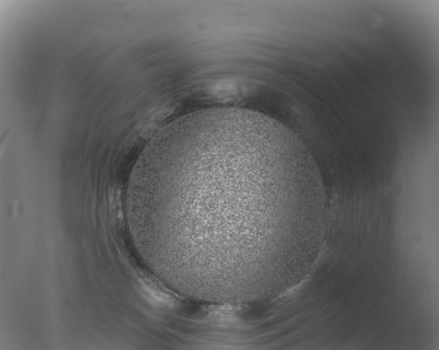 X0000077350182200610271838