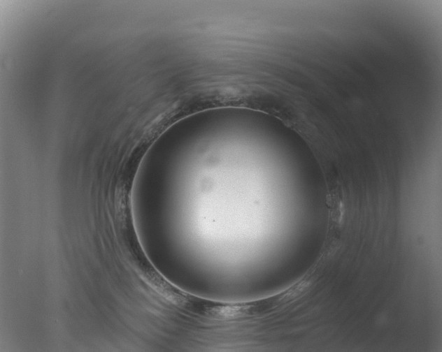 X0000077350184200610271838