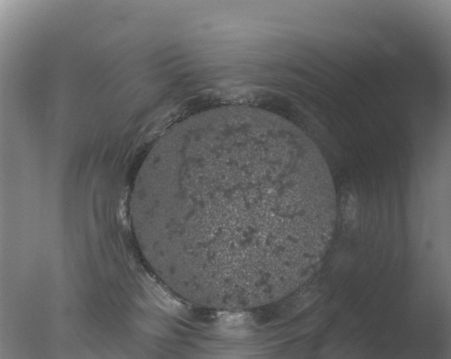 X0000077350185200610271838