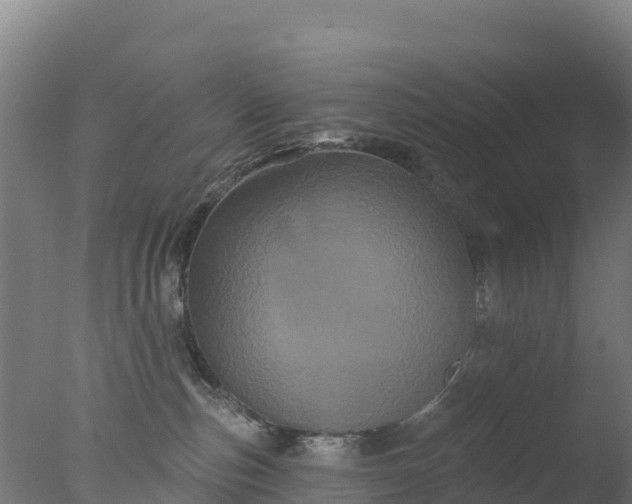 X0000077350187200610271838