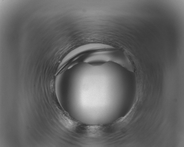 X0000077350192200610271838