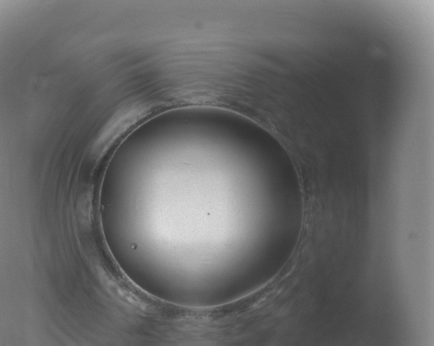 X0000077350194200610271837