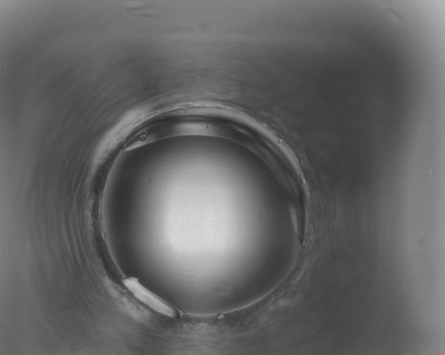 X0000077350197200610271837