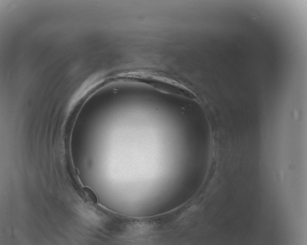 X0000077350198200610271837