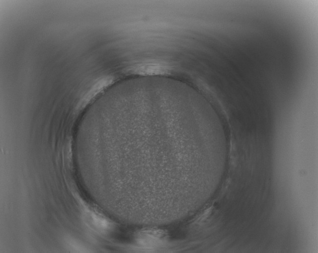 X0000077350202200610271837