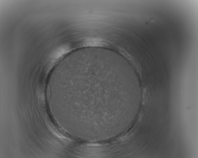 X0000077350203200610271837