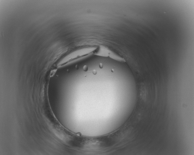 X0000077350206200610271837