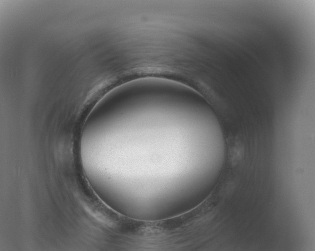 X0000077350207200610271837