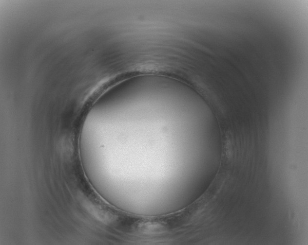 X0000077350208200610271837