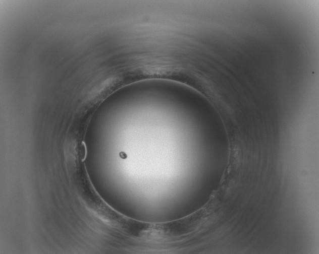 X0000077350211200610271837