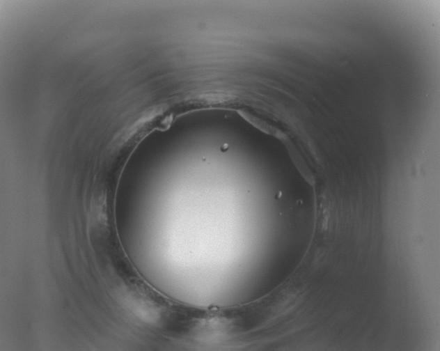 X0000077350212200610271837