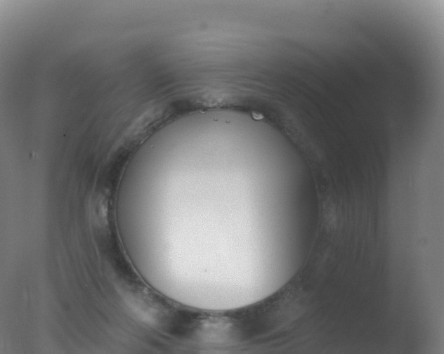 X0000077350214200610271837