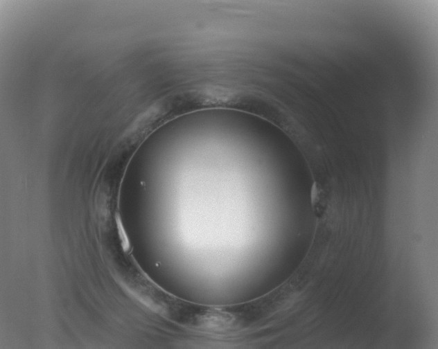 X0000077350215200610271837