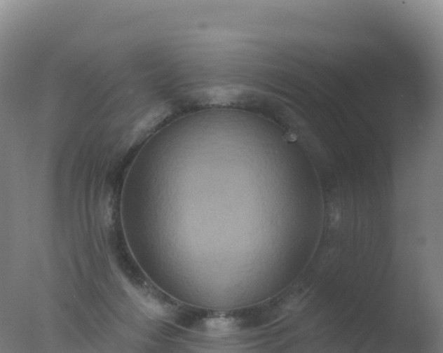 X0000077350216200610271837