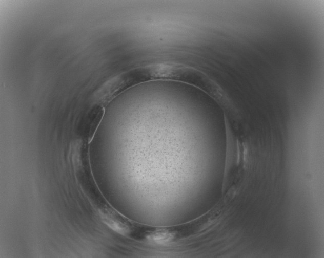 X0000077350217200610271837