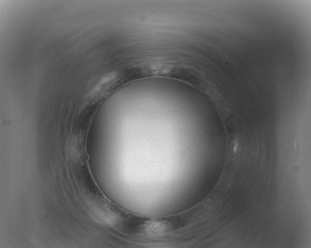 X0000077350218200610271837