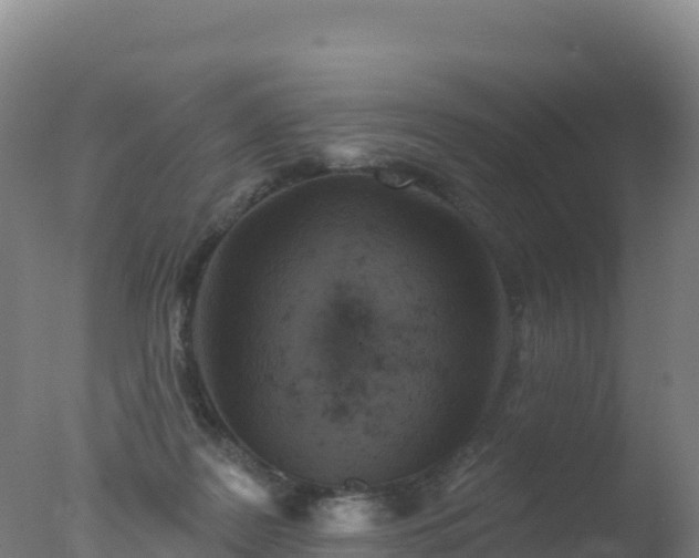 X0000077350219200610271837