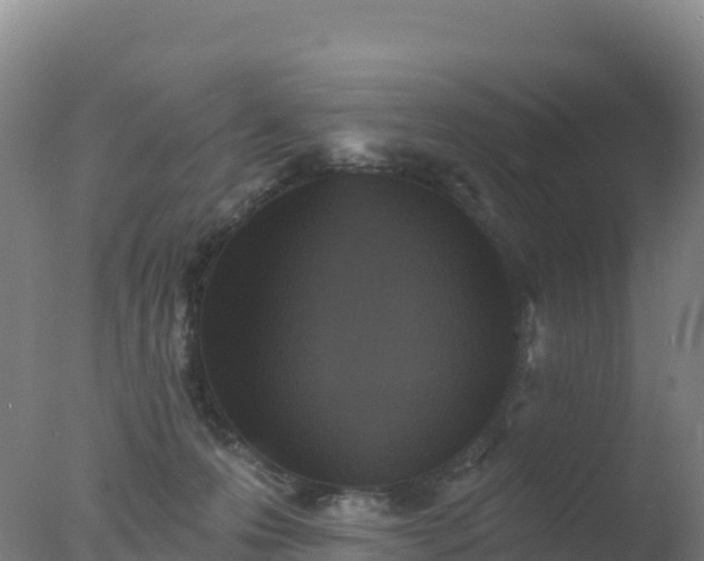 X0000077350223200610271836