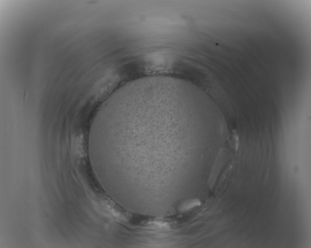 X0000077350224200610271836