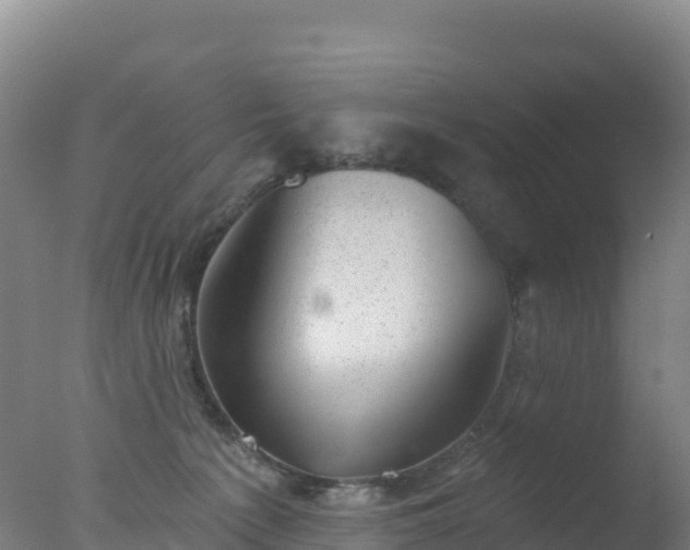 X0000077350225200610271836