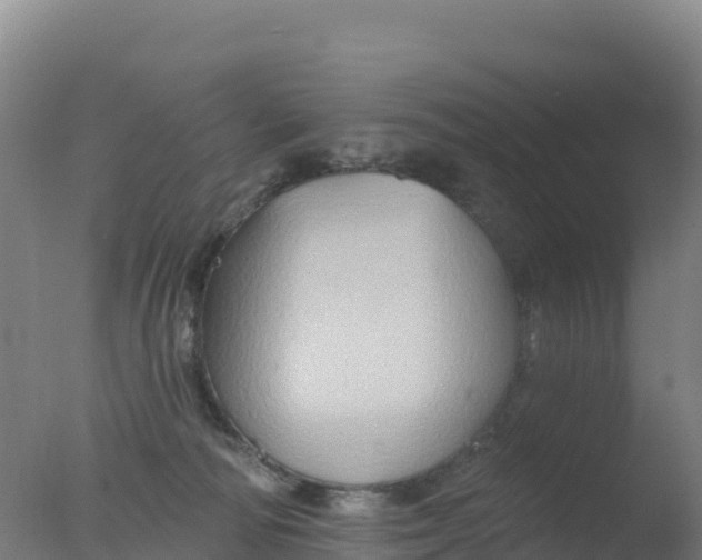 X0000077350226200610271836