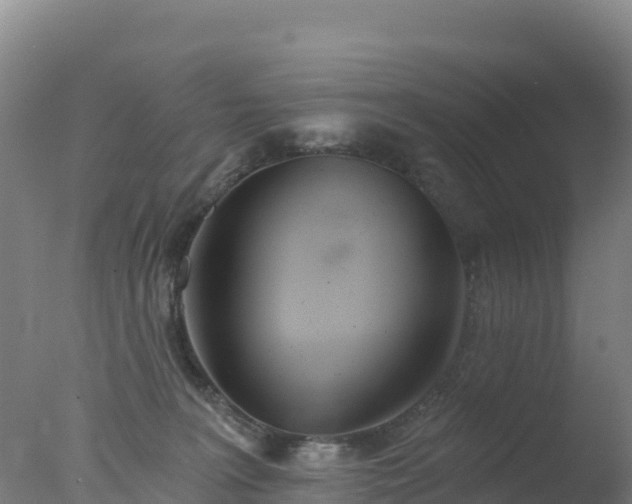 X0000077350227200610271836