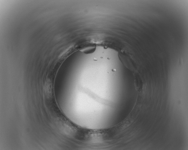 X0000077350228200610271836