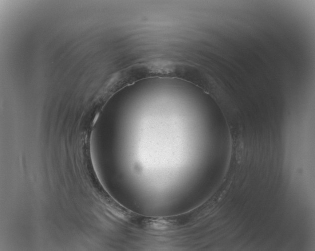 X0000077350229200610271836