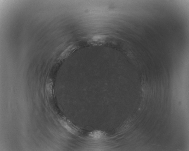 X0000077350231200610271836