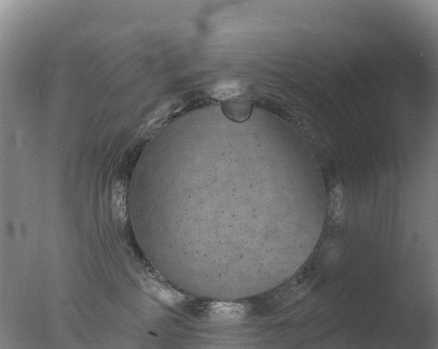 X0000077350234200610271836