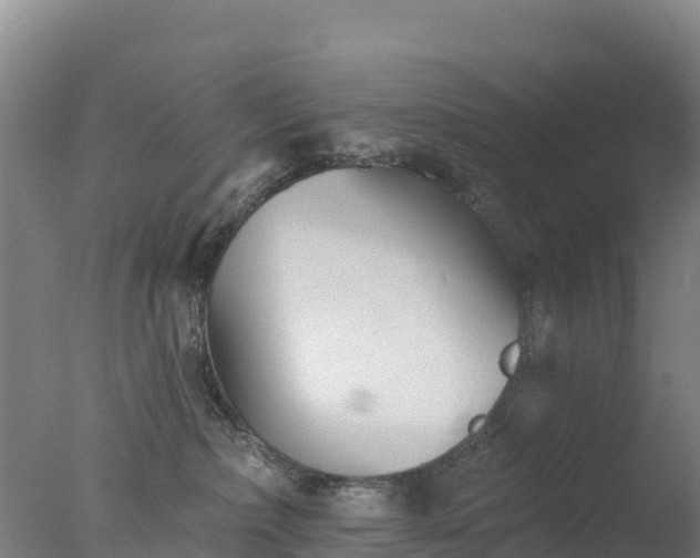 X0000077350236200610271836