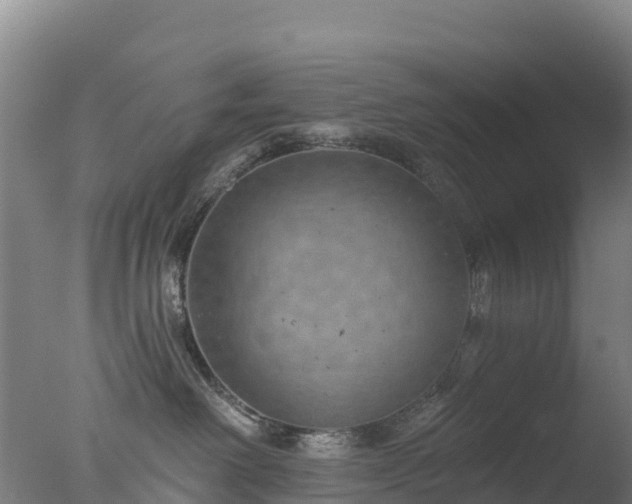 X0000077350238200610271836